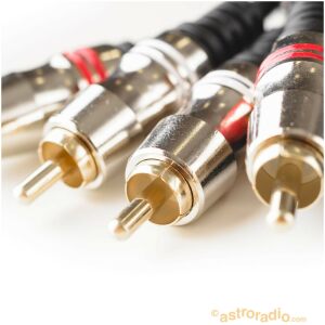 Conexión de audio estéreo RCA