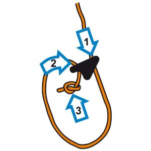 tensor